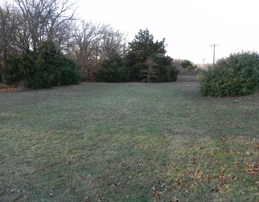 Pet Field