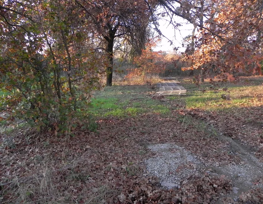 The Trails